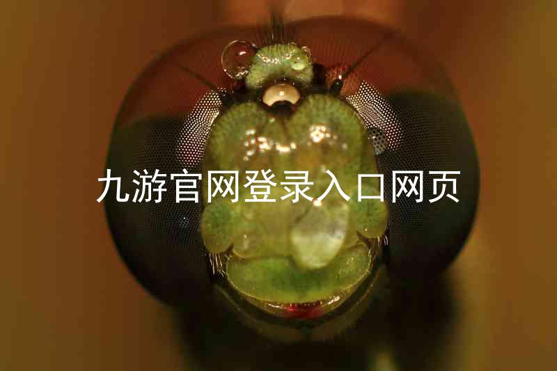九游官网登录入口网页