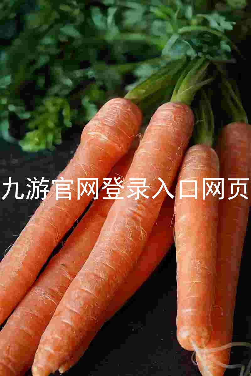 九游官网登录入口网页